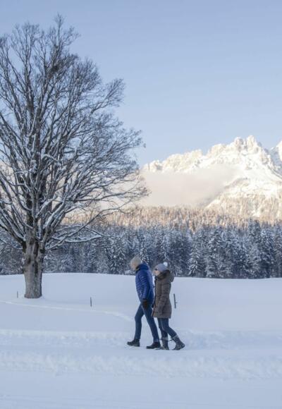 Going_Schwendter Sonnenplateau Winterrunde_Wilder Kaiser
