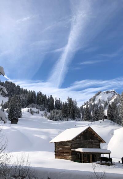 Stall im Bärgunttal