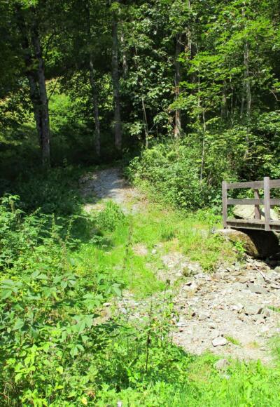 Einkehr-Runde Viehhofen | Abwechslungsreiche Wanderung