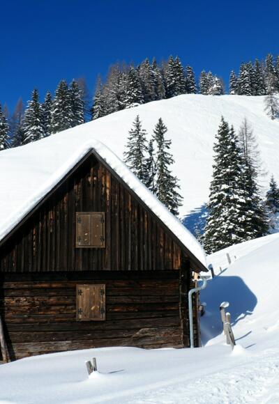 Kreuzbauernalm 1460m