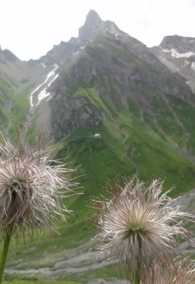 Blick zur Simmshütte von den Kuhköpfen