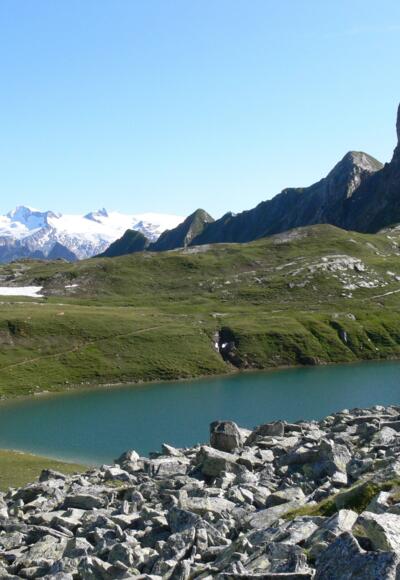 Gösslswand, Bödensee und Großvenediger.