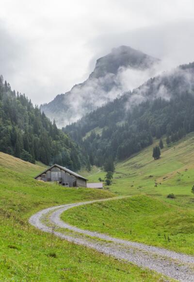 Weg zur Weißenbachalpe