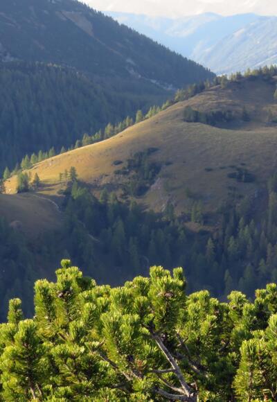 Hals vom Stubwieswipfel aus gesehen