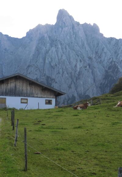 Untere Scheibenbichlalm