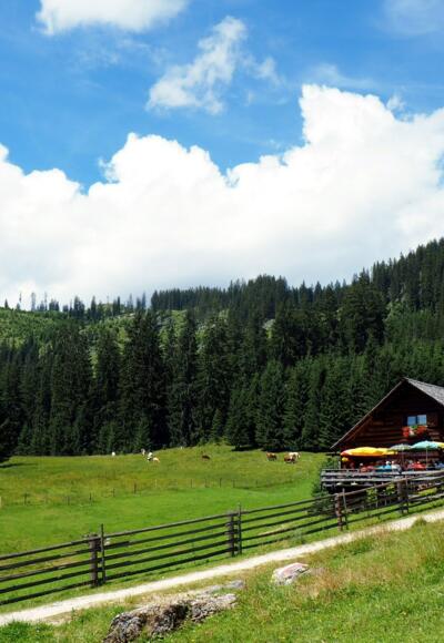 Iglmoosalm 1.206m mit Rosenkogel