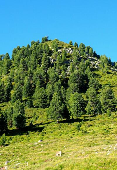 Rauher Kopf 2111m, von der Peter-Anich-Hütte 