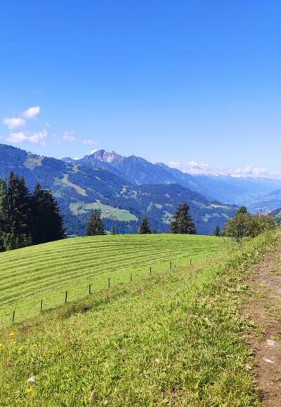 Rund ums Öbristköpfl