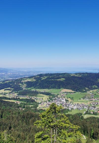 Blick auf Alberschwende vom Brüggelekopf