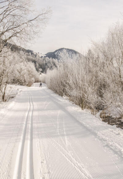 Die Mandlingloipe entlang des Mandlinger Moores