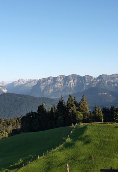 Blick vom Brüggelekopf in den Bregenzerwald