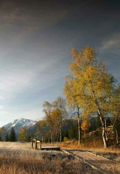 Moorerlebnis Wasenmoos am Pass Thurn