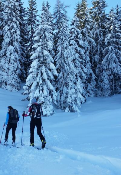 Skitourenroute Alpendorf