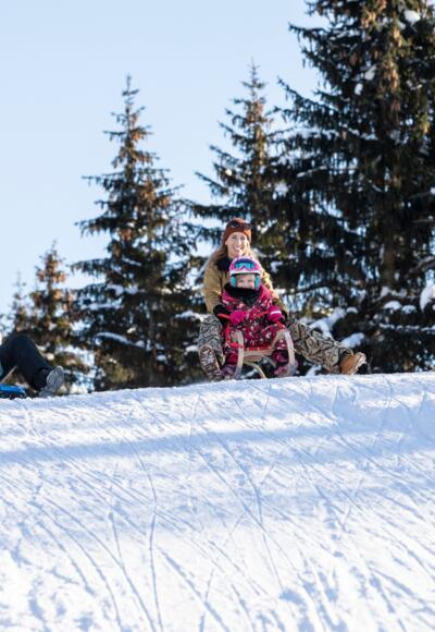 Rodeln Panoramaweg Reither Kogel
