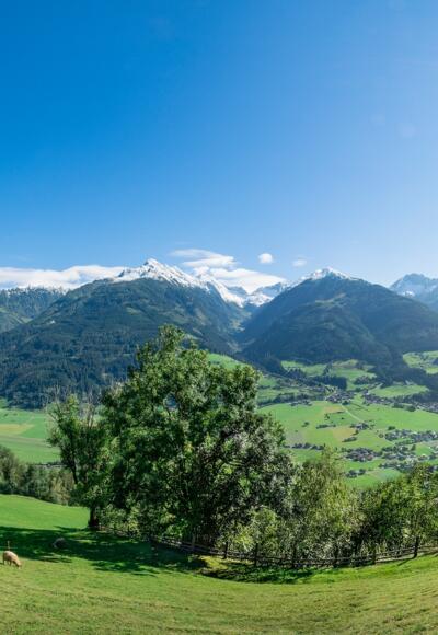 Naglköpflweg - Blick vom Naglköpfl