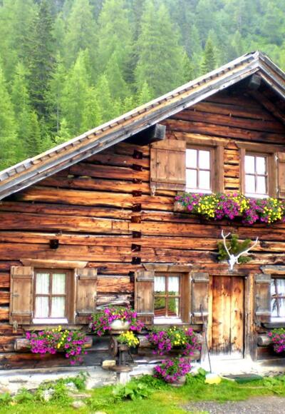 Steinkaralm in Kleinarl