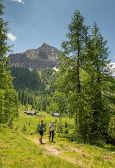 Wandern Steinkaralm