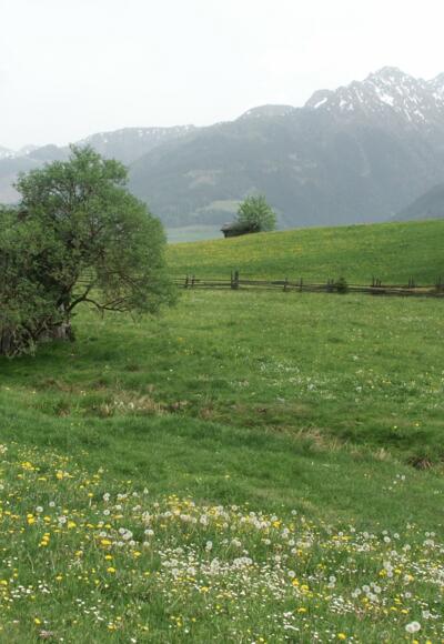 Gasibichl / Niedernsill