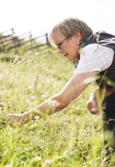 Kräuterwandern