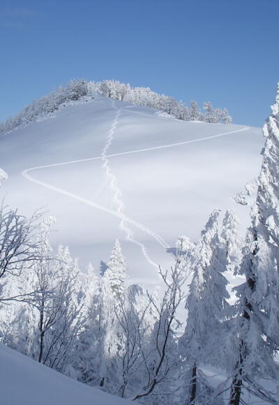 Halskogel mit Halssattel vom Mitterberg