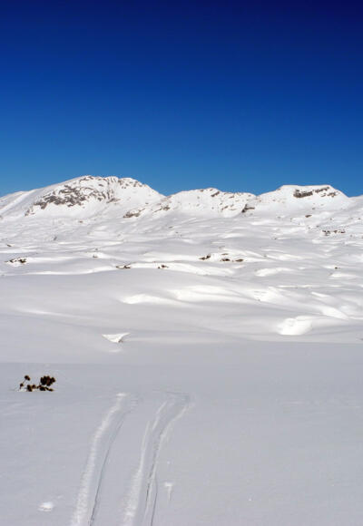 Am Schwarzmoossattel sieht man die Weite des Toten Gebirges - die rechte der vier Erhebungen ist der Grießkogel.