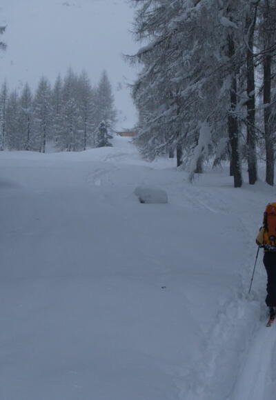 Baumfreie Schneise mit Dümlerhütte im Hintergrund