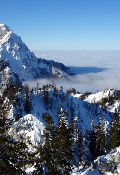 Traunstein (1691m)+Katzenstein (1349m) vom Steineck (1418m).
