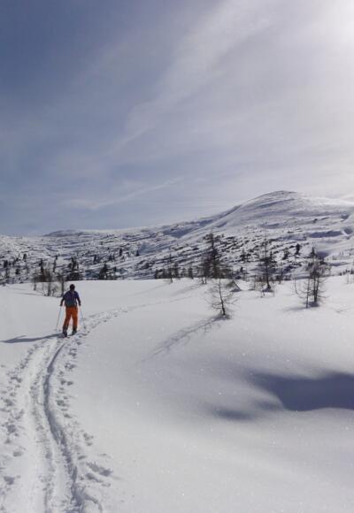Angerkogel von der Angeralm