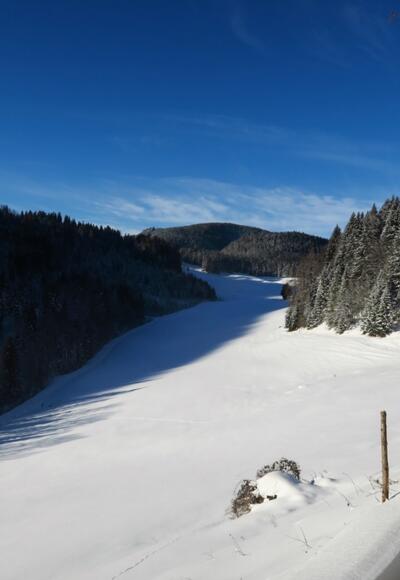 Vorne bei der freien Fläche werden wir nach links schwenken