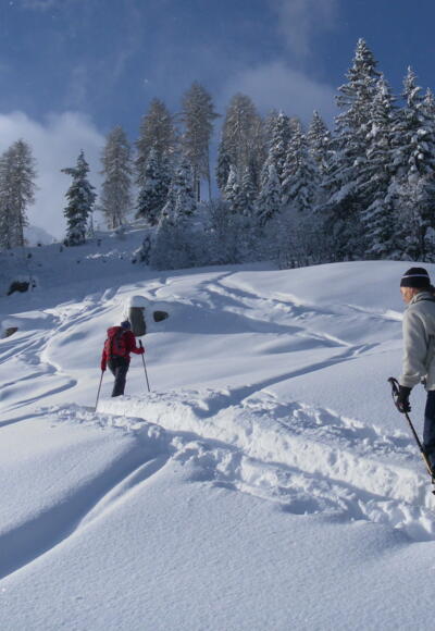 unter der Amoser-Hochalm