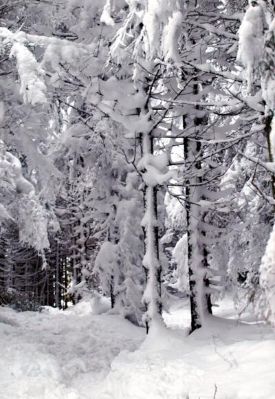 Tiefverschneiter Graben ins Tal