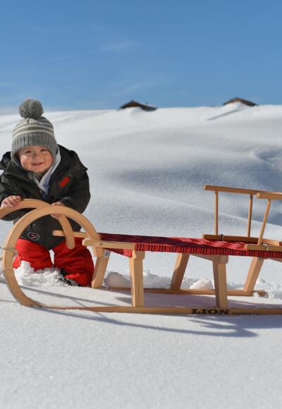 Rodeln in der Almenwelt Lofer