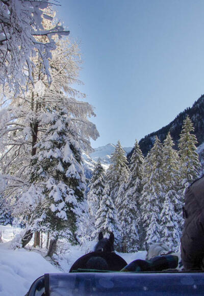 Kutschfahrt zum Prossauer