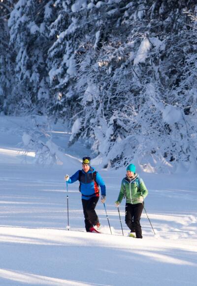 Schneeschuhwanderung auf die Auer Wiesen
