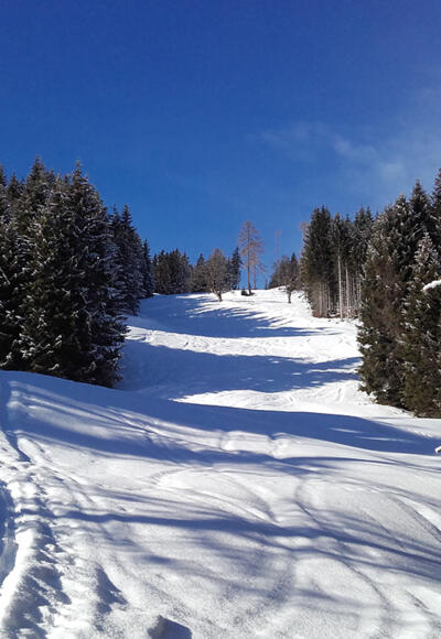 Aufstieg zur Bergstation Panoramabahn