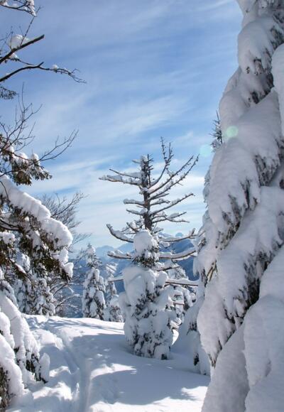 Am tief verschneiten Gipfelplateau 1433 m