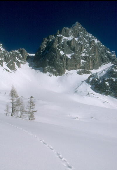 Blick von Schnittlauchmoosboden zum Torstein und Tor (2033)