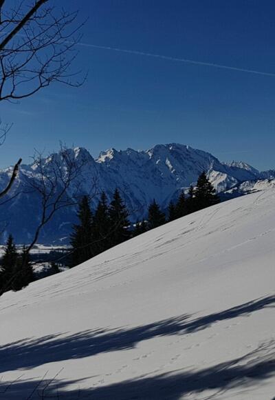 Am Weg zur Schlenksteinalm