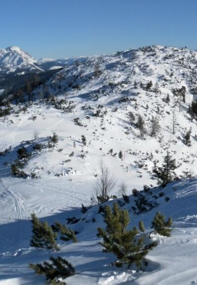 Dachsteinmassiv hinter Korein