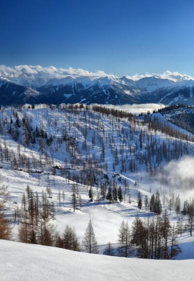 Panoramaaussicht - Ramsau Almenregion