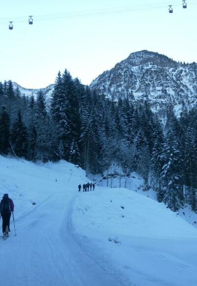 Rodelbahn unter der Bergwerksseilbahn und vor dem Kleberkopf