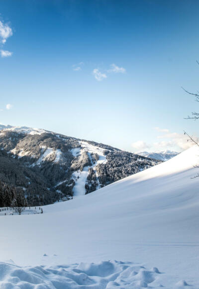 Blick vom Sattelbauer Richtung Skigebiet