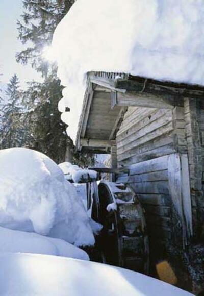 WInterwandern zum Halmgut