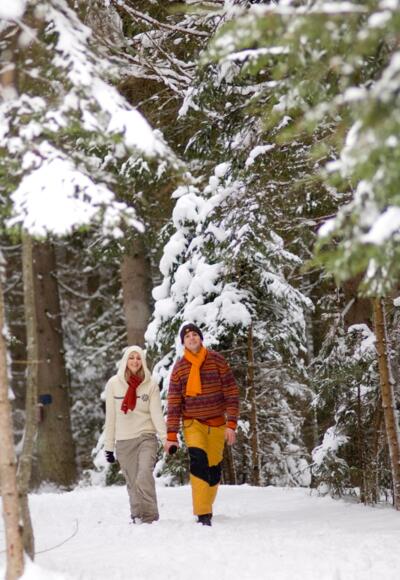 Winterwandern
