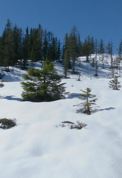 erste Hänge bei der Vorderen Fageralm