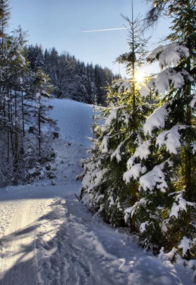 Winterwanderwege