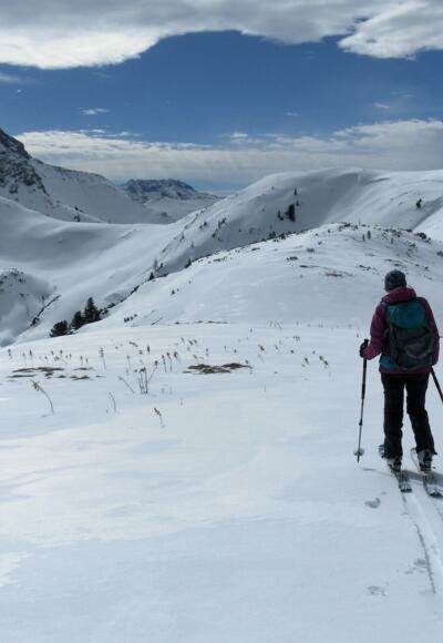 Vom Herrenköpfl zum Loosbichl