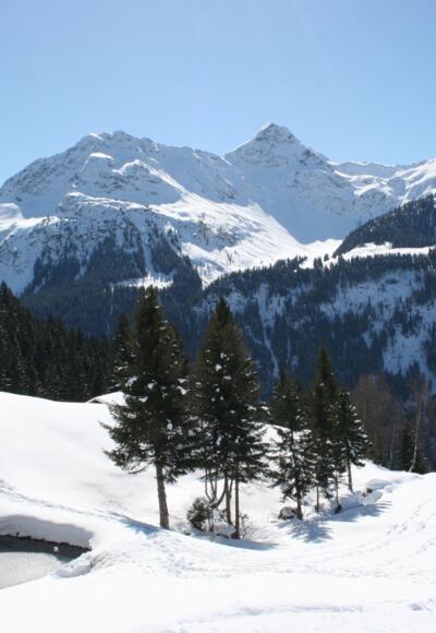 Ausblick taleinwärts