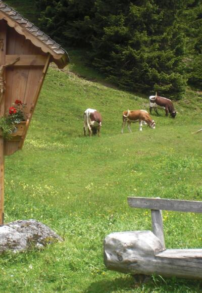 Wegkreuz Mussbachalm