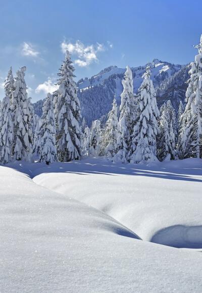 Winterlandschaft in Sibratsgfäll